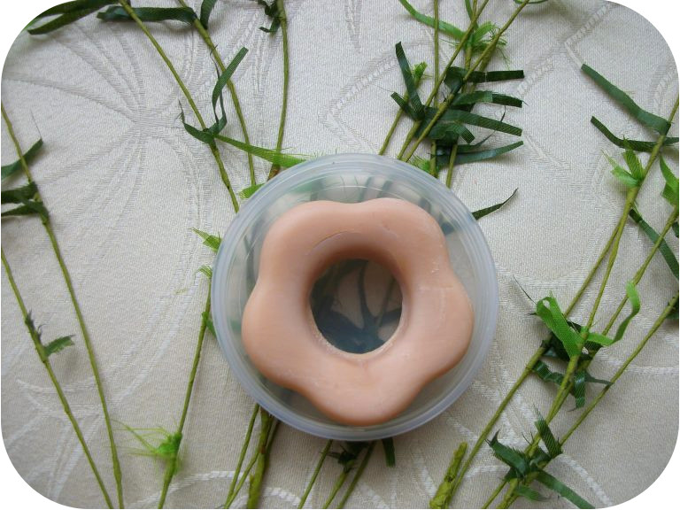 shampoing solide beautyandclic