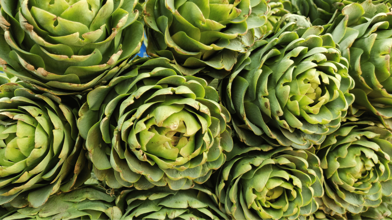 Détox après les fêtes retrouver énergie et légèreté